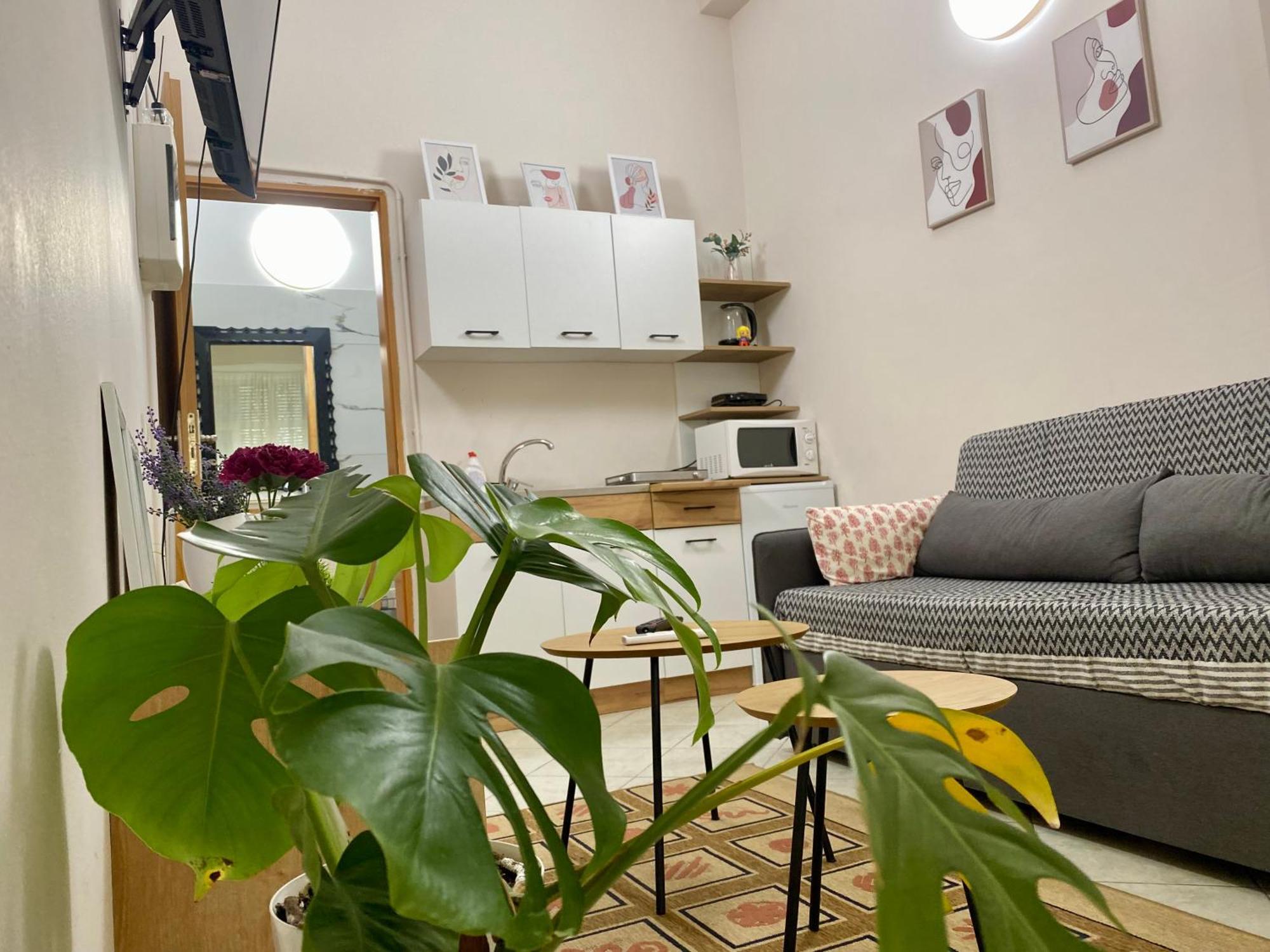Dori'S Wilson Studio At Blloku Neighborhood Τίρανα Εξωτερικό φωτογραφία